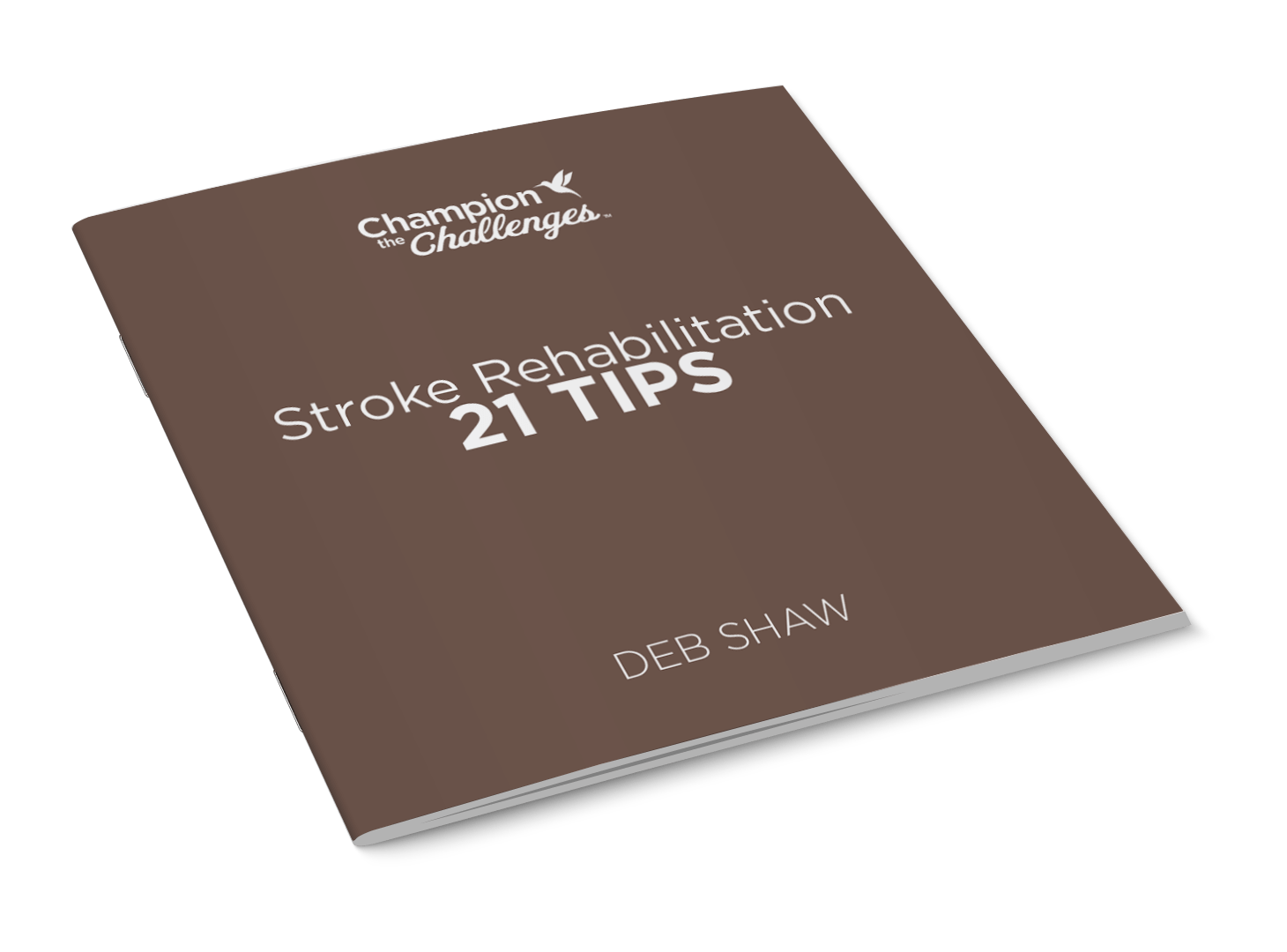 Image of 21 tips stroke rehabilitation booklet