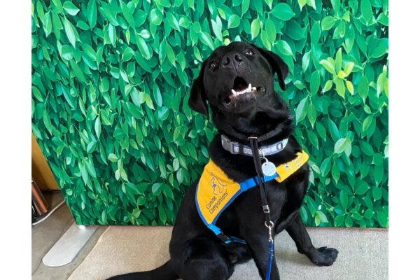 Fiesta 1.6.2,Source=iOS 18.7