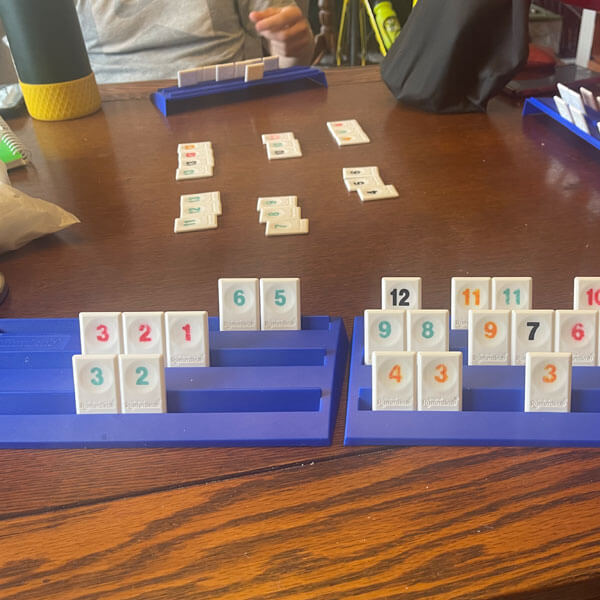 Questioning Cognitive Abilities